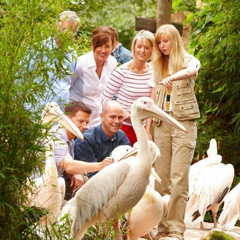 Tierisches Erlebnis im Grünen