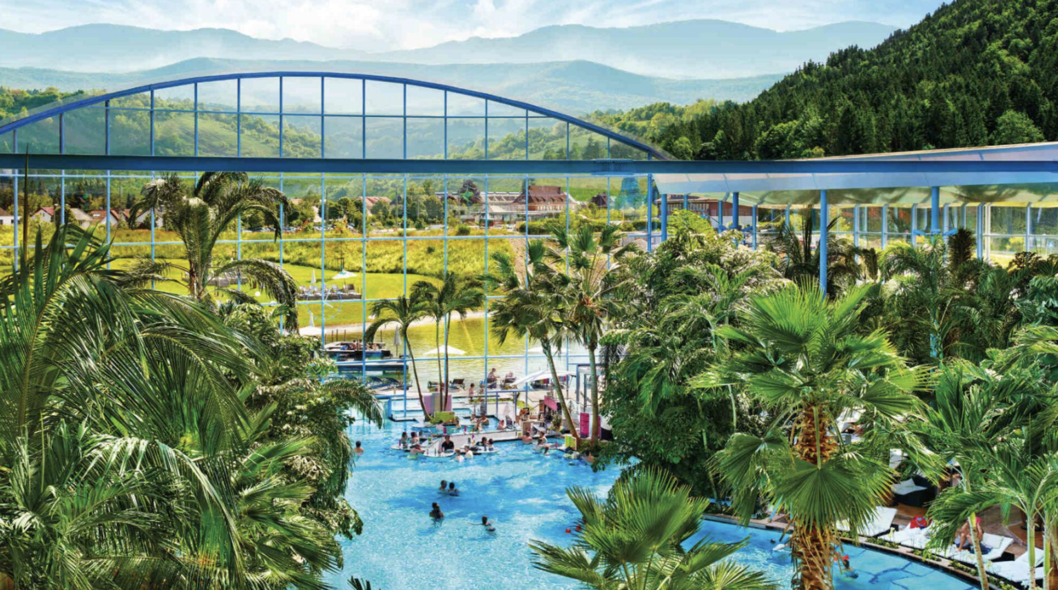 Weitläufiger Pool der Palmenoase mit zahlreichen Palmen, Glasdach und Blick auf die Schwarzwaldberge