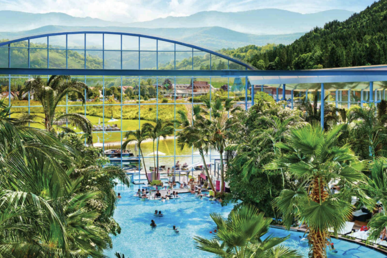 Palmenoase mit Schwarzwaldpanorama Weitläufiger Pool der Palmenoase mit zahlreichen Palmen, Glasdach und Blick auf die Schwarzwaldberge