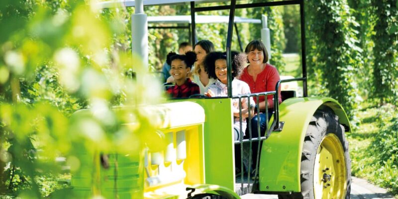 Grüne Oase Grüne Oase